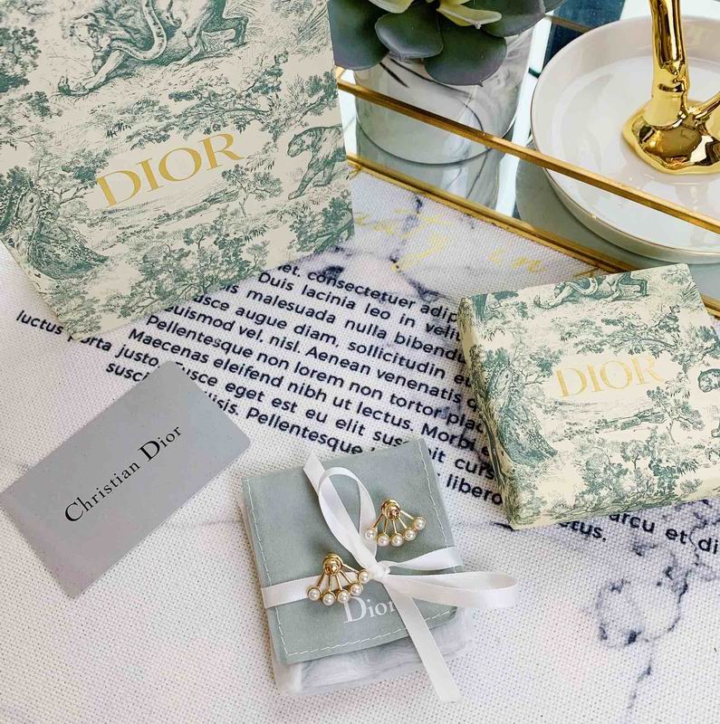 Dior Earring 03lyr169